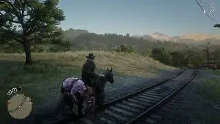 Red Dead Redemption 2 RX 570 4 GB Performance Test (1920X1080)