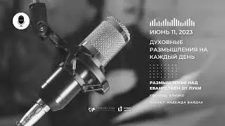 Духовные Размышления на Каждый День |  Размышления над Евангелием от Луки | 11 Июня