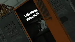 кот с пистолетом и пёс с ружьем BONEWORKS VR