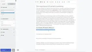 ContentBot - Long Form Editor Demo