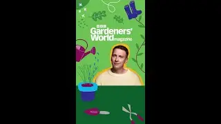 Take a tour of Joe Lycett's garden