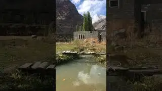 Wild cats crossing the broken bridge. 