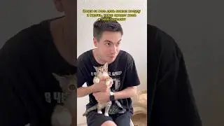 #reels #shorts #смешно #хочуврек #юмор #tiktok #отношения #хочуврекомендации #тикток