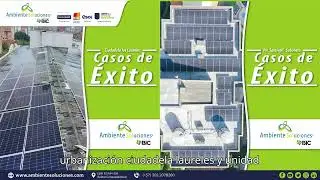 Logros Ambiente Soluciones en 2024: ¡Vamos por más en 2025!