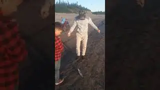 Рыбалка на реке Хета, Сиг