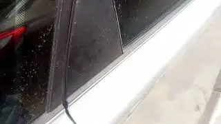 подсветка земли сзади справа днём