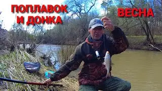 ДАЖЕ НЕ ОЖИДАЛ ТАКУЮ РЫБУ. Рыбалка на реке ТАРУСЕ. ПОПЛАВОК и ДОНКА в АПРЕЛЕ.