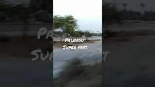 #palnadu