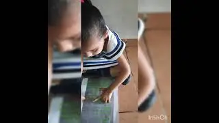 Nursery parents oriented activity Finger Print Counting