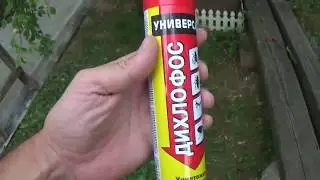 Дихлофос против Ос! Убойная вещь!
