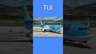 For blue airlines: