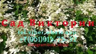 Обзор 