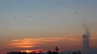Migration Of Birds - Setup Film