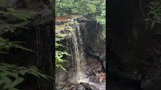 Cole Run Falls and Blue Hole