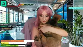 Meet Koby❤️ | #lucyya on #Twitch