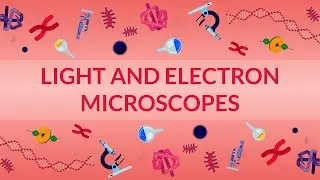 WHAT ARE LIGHT AND ELECTRON MICROSCOPES? - HOW DO THEY WORK?