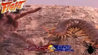 Mortal Kombat Тарантул