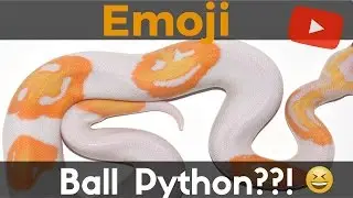 Emoji Ball Python!