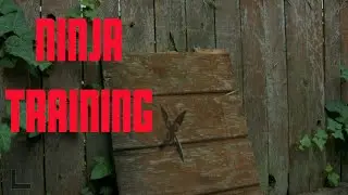 Ninja Training: The Diplomats #7