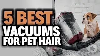 5 Best Vacuums for Pet Hair in 2019
