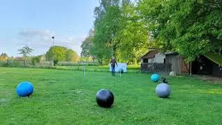 Treibball mit Batida