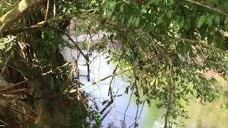 SUNGAI DAH KERING | WAKAF BUNUT