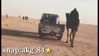 شيلة اقلاعيةة😱✈️¦لايفكر لايفكر¦💥😵فهد بن فصلا حصرياً 2019 بطيء