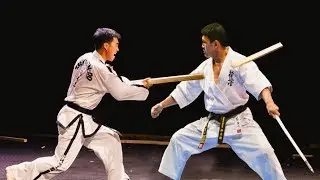 ITF Taekwondo vs Kyokushin