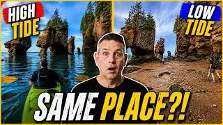 🚣‍♂️Kayaking Hopewell Rocks at HIGH TIDE – Bay of Fundy Like You’ve Never Seen! 🌊