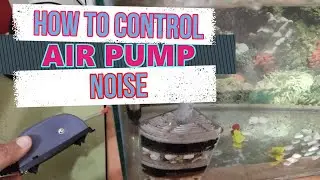 How to control Aquarium Air Pump Noise at zero cost