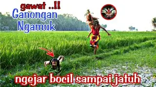 GAWAT ..!! MARKONAH DIKEJAR   BARONGAN GANONGAN NGAMUK