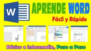 Tutorial Curso de Word Basico e Intermedio 2026, aprende usar Word facil y detalladamente, Parte 1