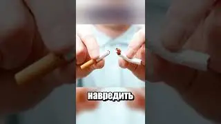 И что по итогу опаснее?