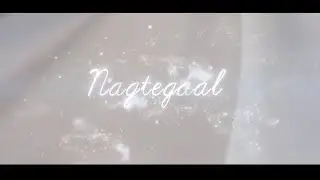 Gabi Swanepoel - Nagtegaal (Lirieke Video)