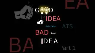 Good Idea Bad Idea with Cats… part 1