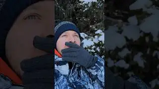 Первая реакция на вид из нового дома в Кыргызстане 