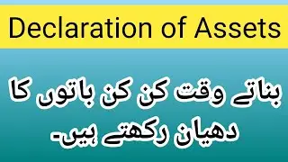 How to prepare declaration of assets