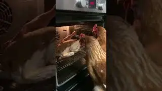 #санятывпорядке
