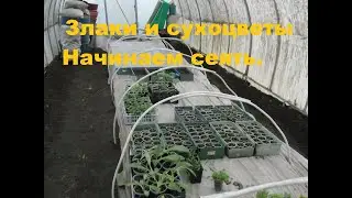 22-23 марта. Начинаем работать в теплице.