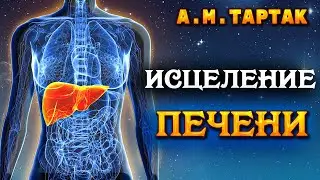 Оздоровление и Очищение Печени / Здравушка