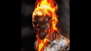 Benim kitabımda ayıya dayı demek yok oglum
