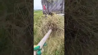 Зил-130.Уборка сена! Зил сено возил.Старый грузовик зил снова в деле!