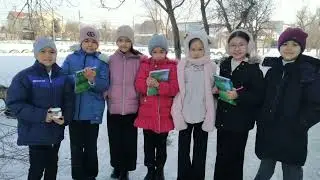 Наблюдения и эксперименты зимой с солью