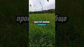 Как просто похудеть #здоровье #похудение #здоровыйобразжизни #саморазвитие #мотивация #зож #питание