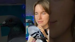 Что такое метафора? #егэ#репетитор#уроки#смех