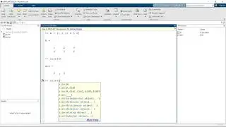 MATLAB vector and matrix dimensioning