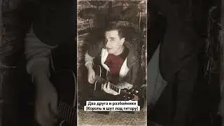CinemaPunk - Два друга и разбойники (Король и шут под гитару)