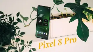 Google Pixel 8 Pro - Well Rounded!