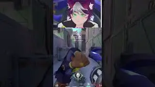 bad sova, no, meet shotgun