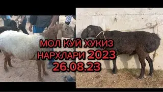 БОБОТОГ МОЛ ХУКИЗ КУЙ НАРХЛАРИ